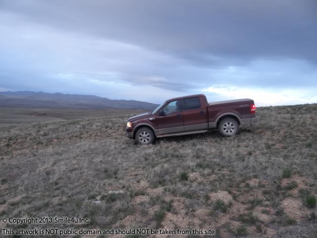 Beautiful large rolling hills on this 80 acre chunk of land!  That